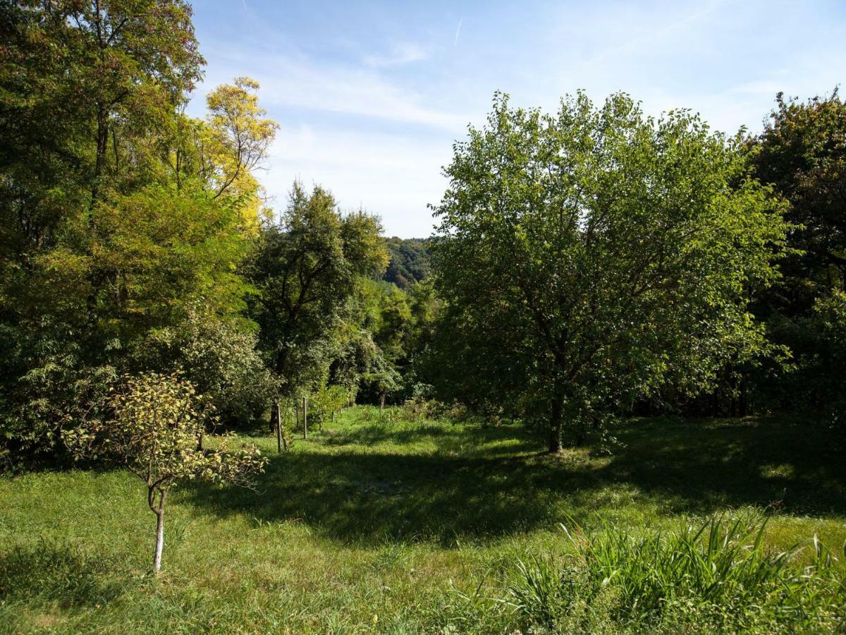 Kurija Inn Hrašćina Bagian luar foto