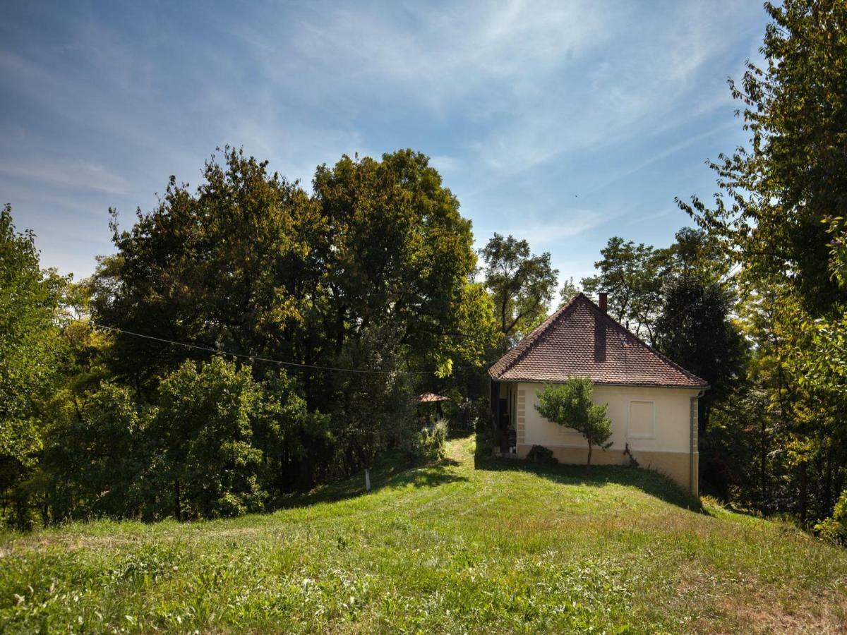 Kurija Inn Hrašćina Bagian luar foto